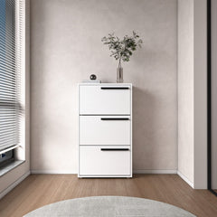 Diplo Flip Shoe Cabinet