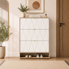 Aspen Flip Shoe Cabinet