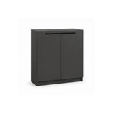 Diplo 2 Door Shoe Cabinet