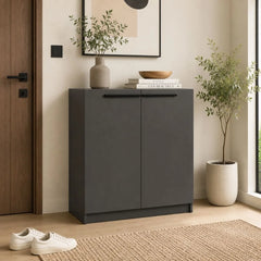 Diplo 2 Door Shoe Cabinet
