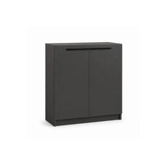 Diplo 2 Door Shoe Cabinet